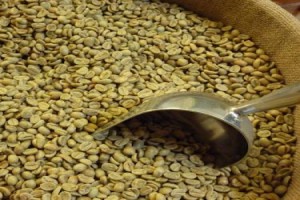 Coffee Beans from Cameroon